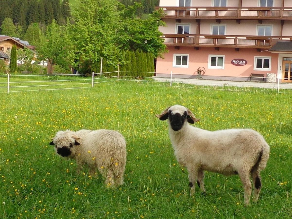 فندق Hinterlechnerhof وستندورف المظهر الخارجي الصورة
